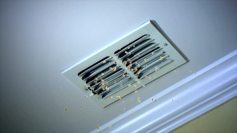 Best Duct Cleaning for Offices  in Grove City, FL