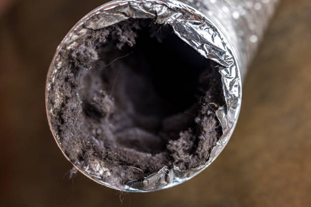 Best Professional Duct Cleaning Services  in Grove City, FL